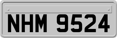 NHM9524