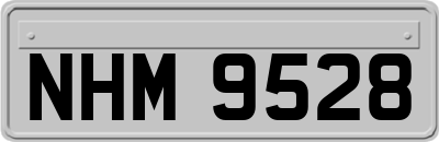 NHM9528
