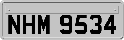 NHM9534