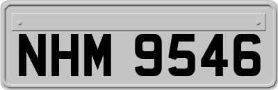 NHM9546