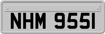 NHM9551