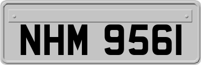 NHM9561
