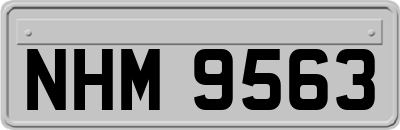 NHM9563