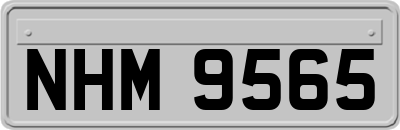 NHM9565