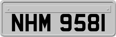 NHM9581