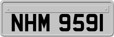 NHM9591