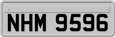 NHM9596
