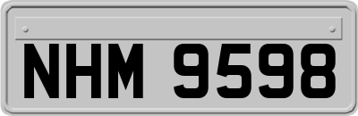 NHM9598