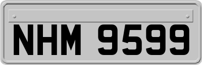 NHM9599
