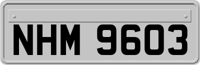 NHM9603