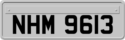NHM9613