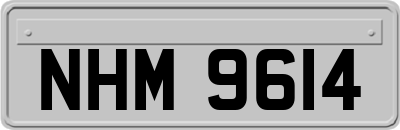NHM9614