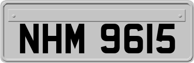 NHM9615