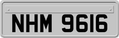 NHM9616