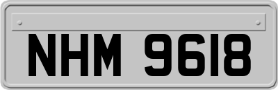 NHM9618