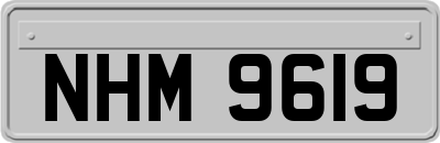 NHM9619