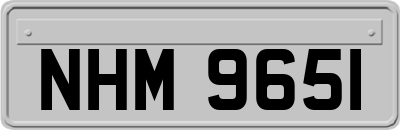 NHM9651