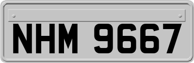 NHM9667
