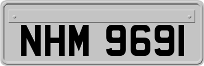 NHM9691