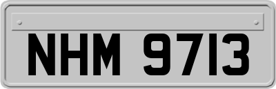 NHM9713