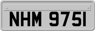 NHM9751