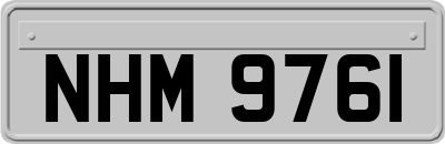 NHM9761