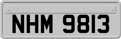 NHM9813