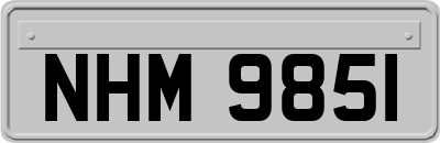 NHM9851