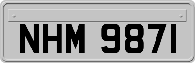 NHM9871
