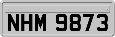 NHM9873