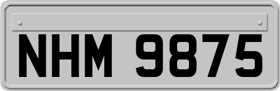 NHM9875