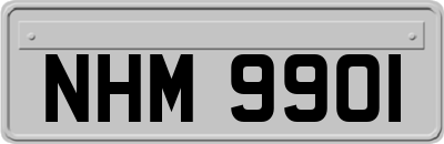 NHM9901