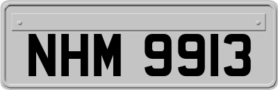 NHM9913
