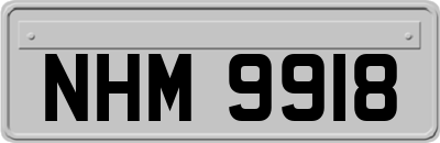 NHM9918