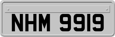 NHM9919