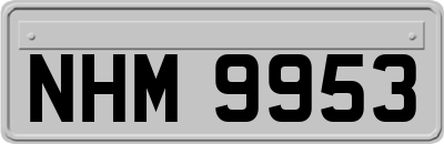 NHM9953