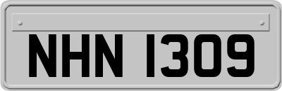 NHN1309
