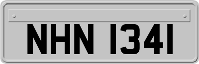 NHN1341