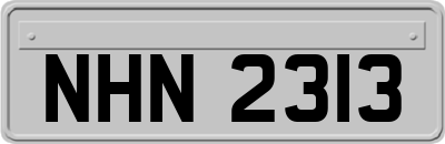 NHN2313