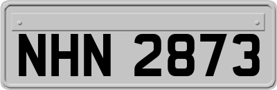 NHN2873