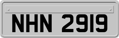 NHN2919
