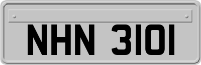 NHN3101
