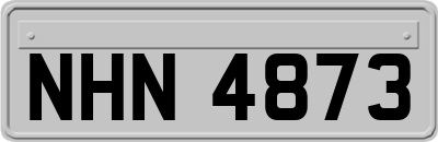 NHN4873