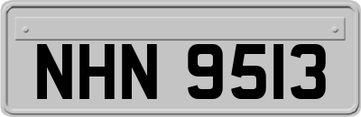 NHN9513