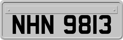 NHN9813