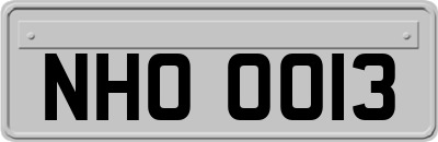 NHO0013