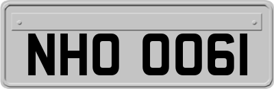 NHO0061