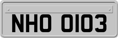 NHO0103