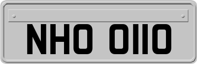 NHO0110
