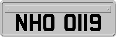 NHO0119